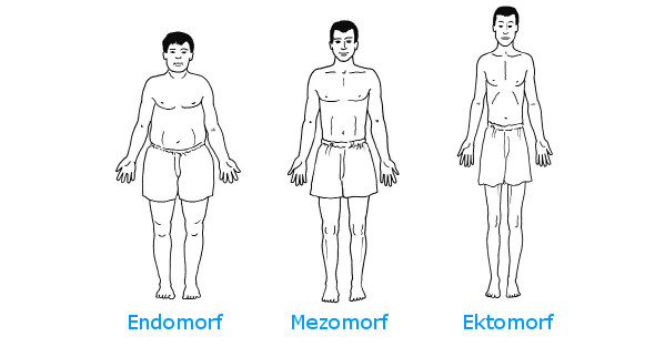 Somatotypy člověka - ketogenní dieta | onefit.cz